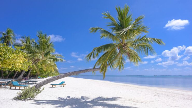 I segni zodiacali e la loro vacanza preferita