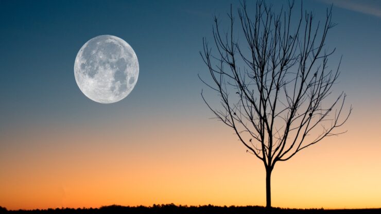 Luna nuova1