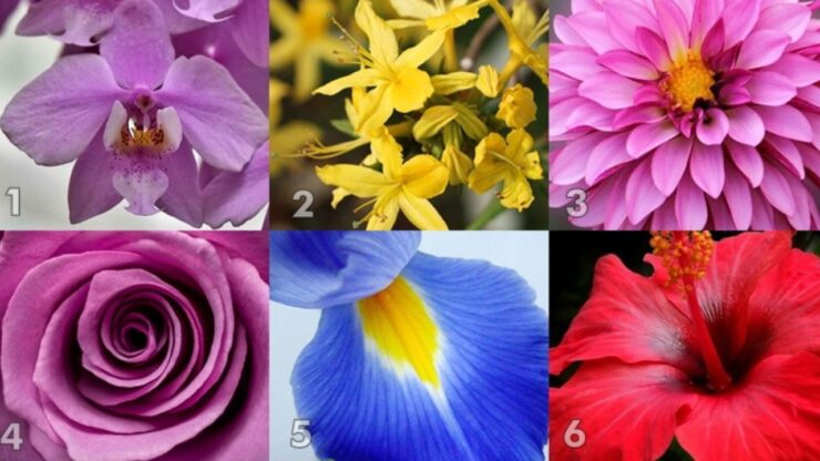 test