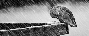suggerimenti per affrontare la vita