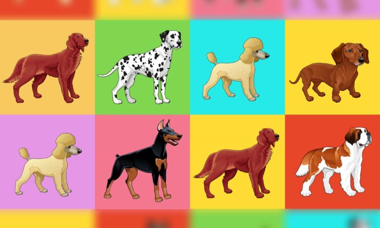 cane e segno zodiacale