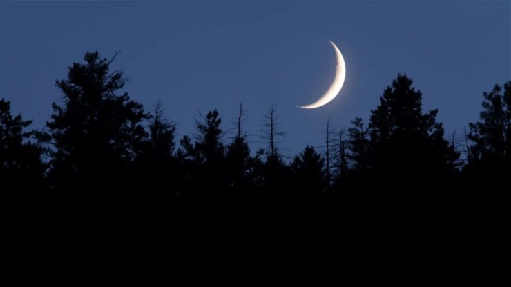 effetti della luna nuova