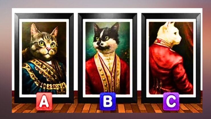 test gattini