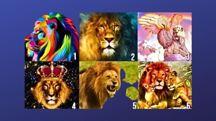 test leoni