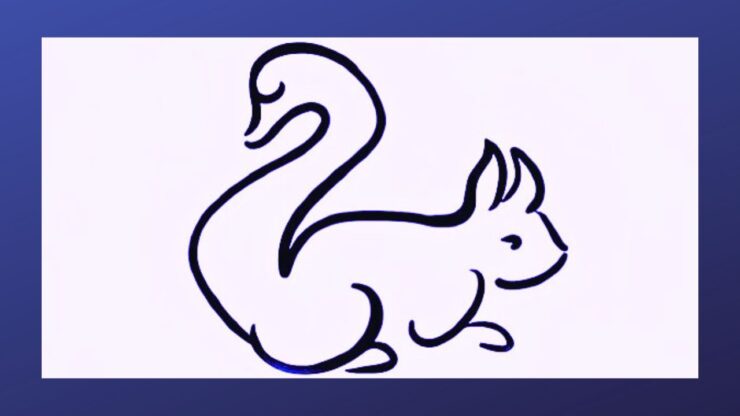 test scoiattolo cigno