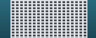 test 96