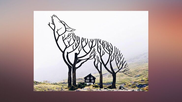 test del lupo e alberi