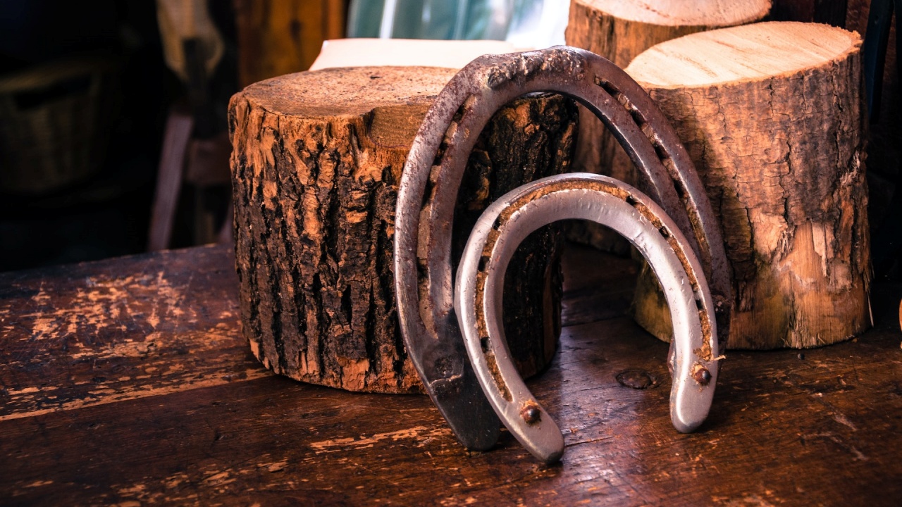 Ferro Di Cavallo Portafortuna Con Cuore In Legno – Regalo Inaugurazione Casa, Matrimonio – Con Chiodi E Raphia