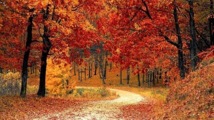 paesaggio autunnale