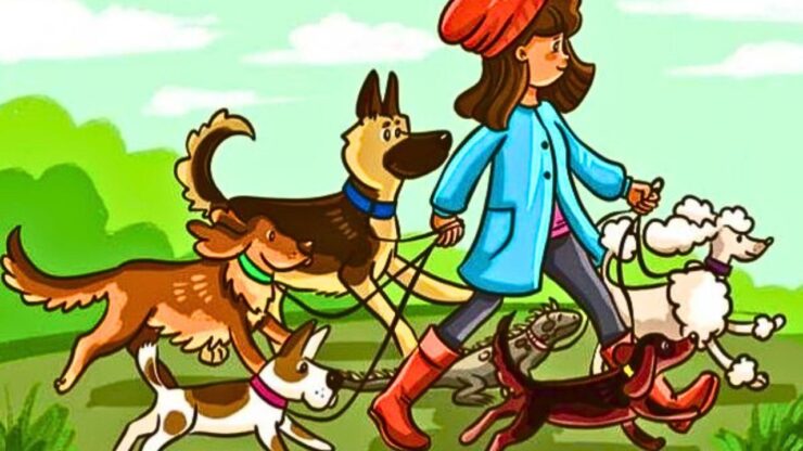 test dog sitter