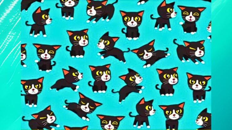 test gatti