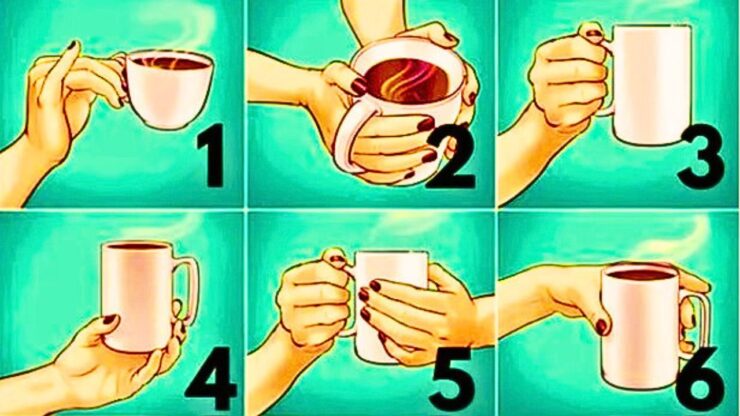 test tazza