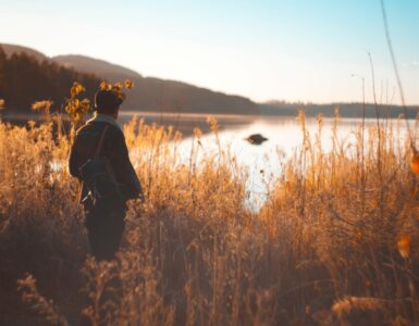 pausa per 4 segni zodiacali