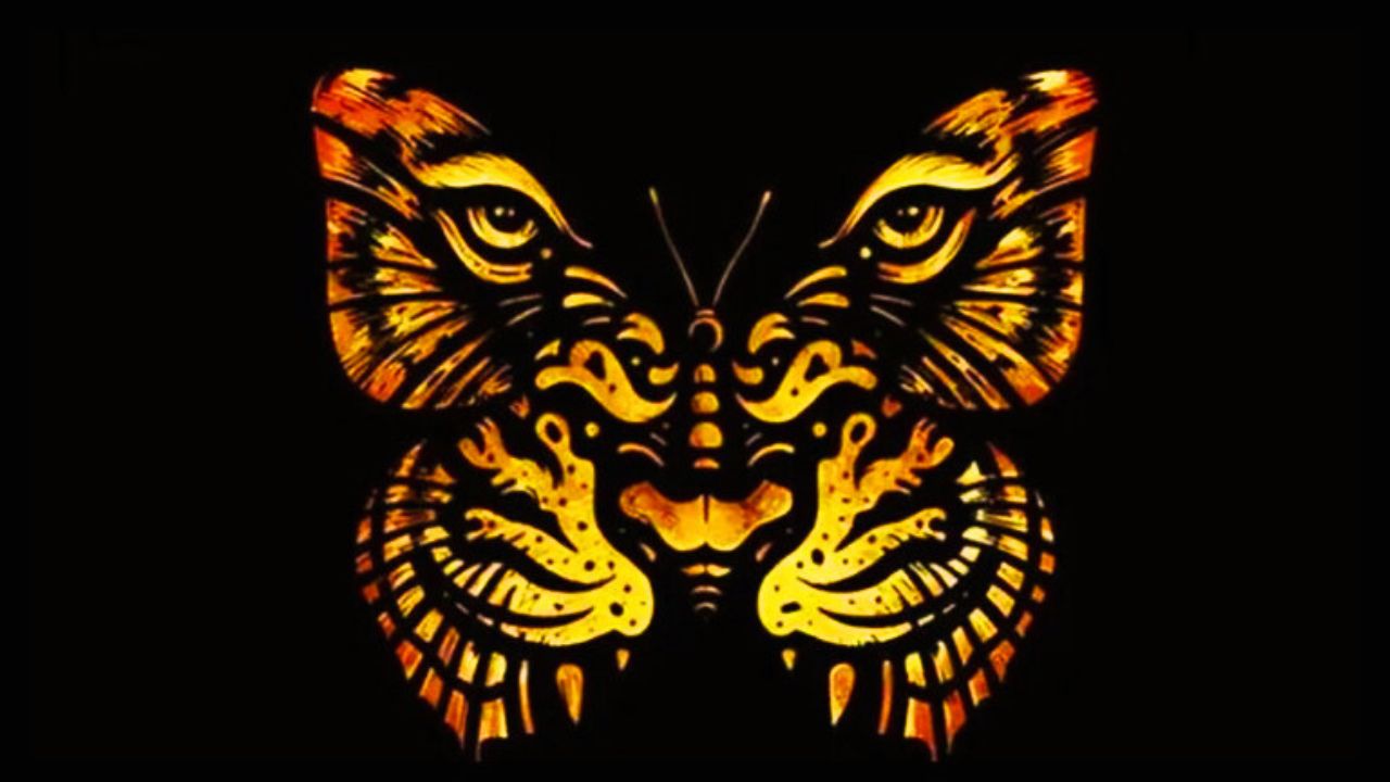 test tigre farfalla