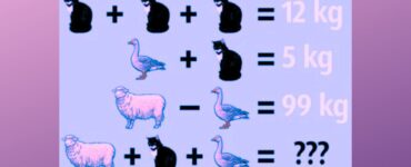 rimpicapo matematico