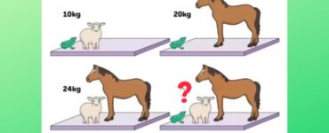 test cavallo