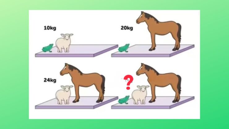 test cavallo