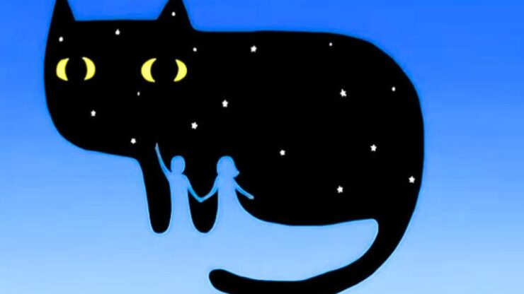 test gatto notte ballerini