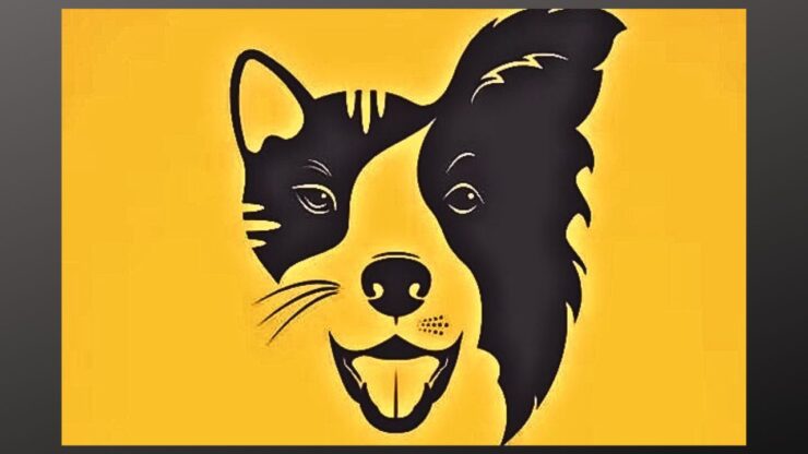 test cane o gatto