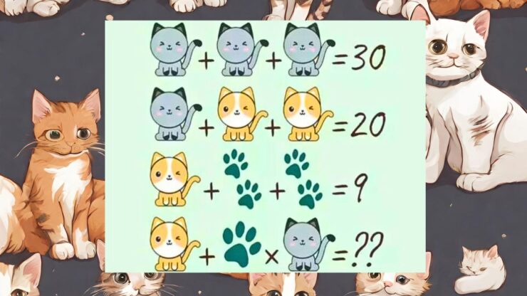test gattini