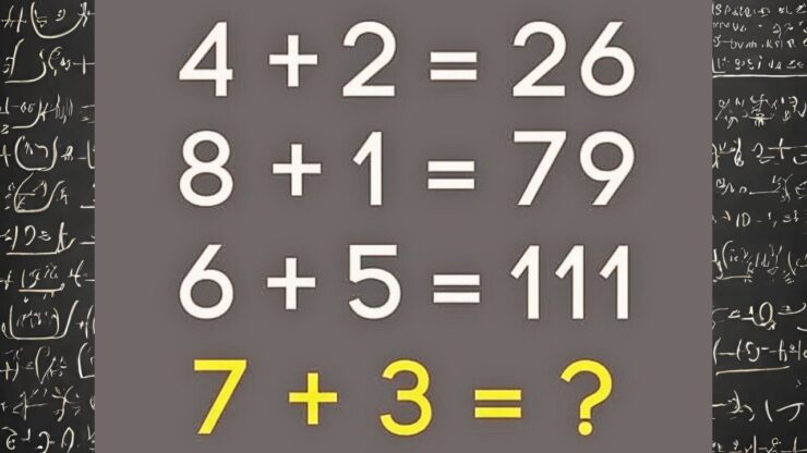 test matematica 7